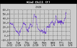 Wind Chill History