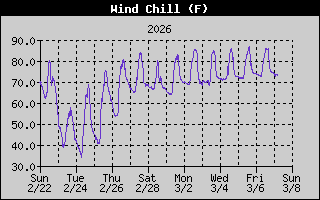 Wind Chill History